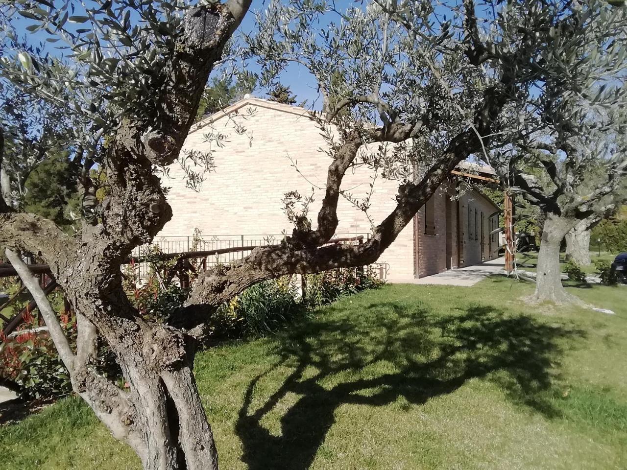 Il Roccolo Di Valcerasa Treia Exterior foto