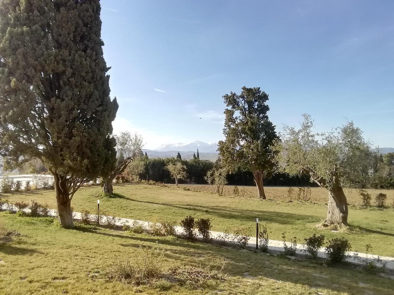 Il Roccolo Di Valcerasa Treia Exterior foto